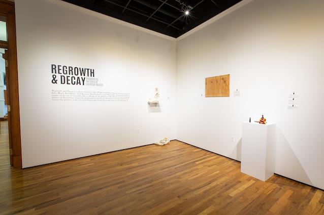 Regrowth and Decay Art Exhibition