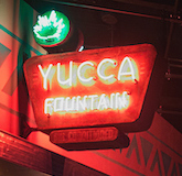 Yucca Fountain