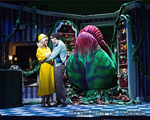 Little Shop of Horrors, LTR